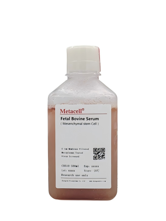 Certified Fetal Bovine Serum Qualified for Mesenchymal Cells间充质干细胞专用胎牛血清